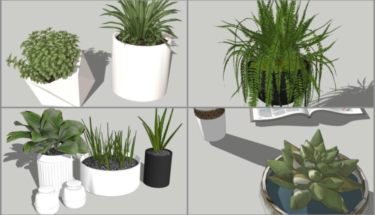 5067. Combo Tini Tree Decor Sketchup Model Free Download - Sketchup