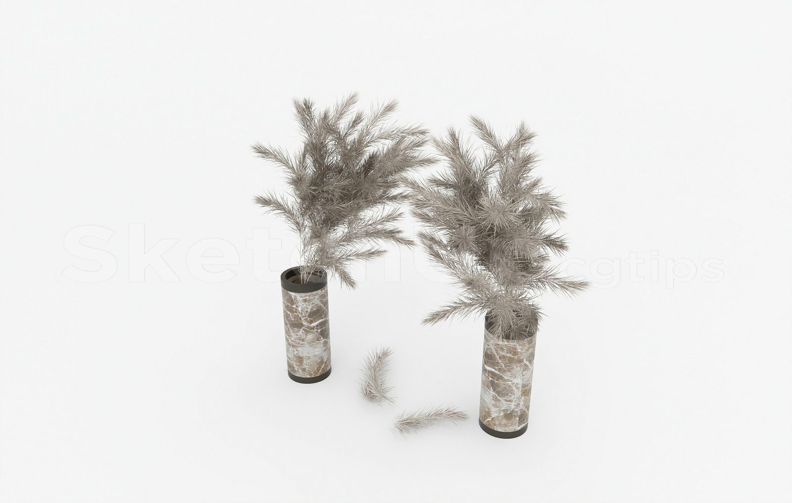16853. Free Sketchup Pampas Grass Model Download (2)