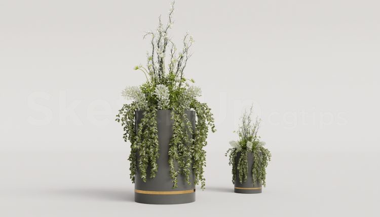 18527. Free Sketchup Plant Model Download (2)