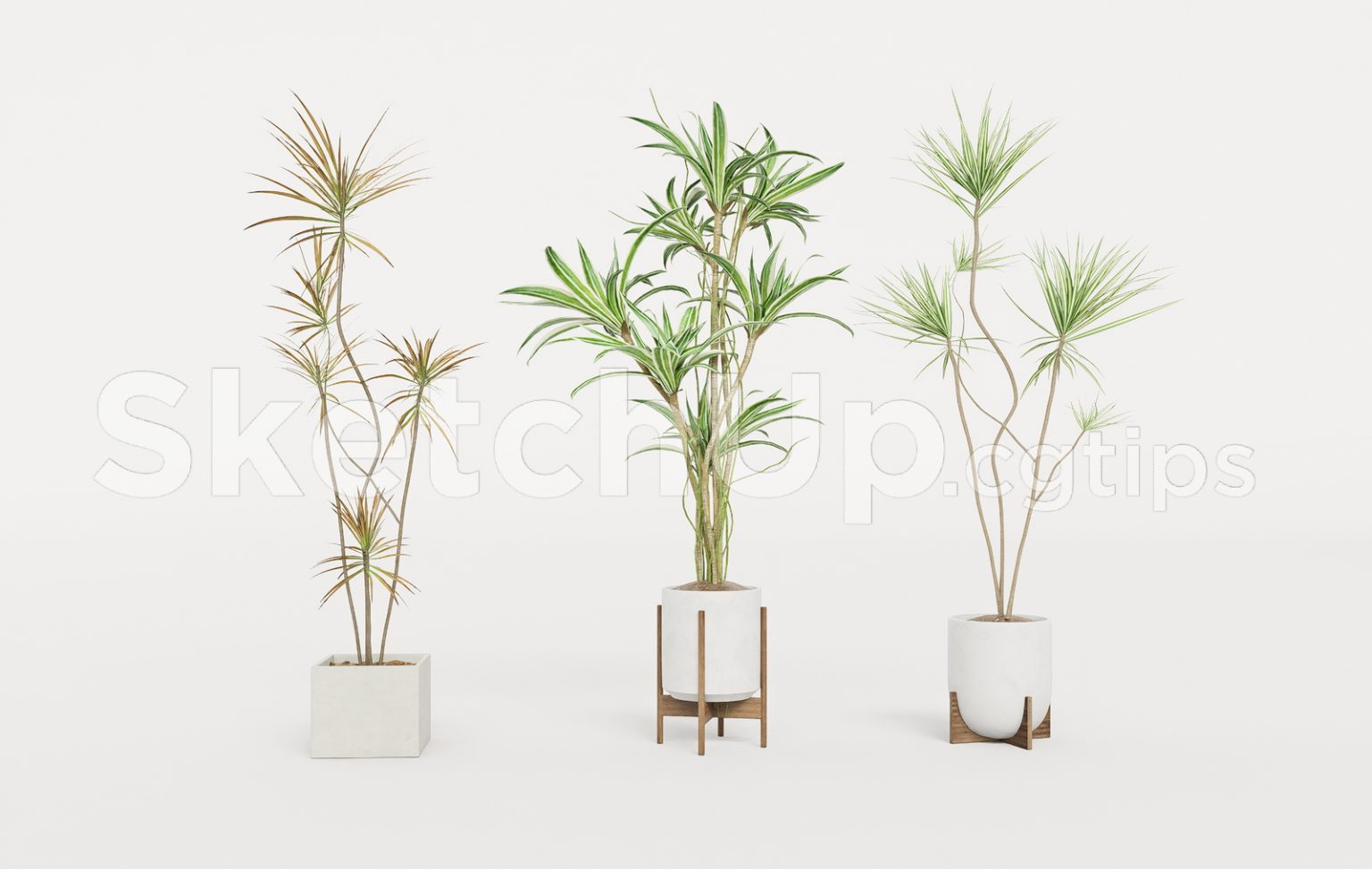 19369. Free Sketchup Plant Model Download
