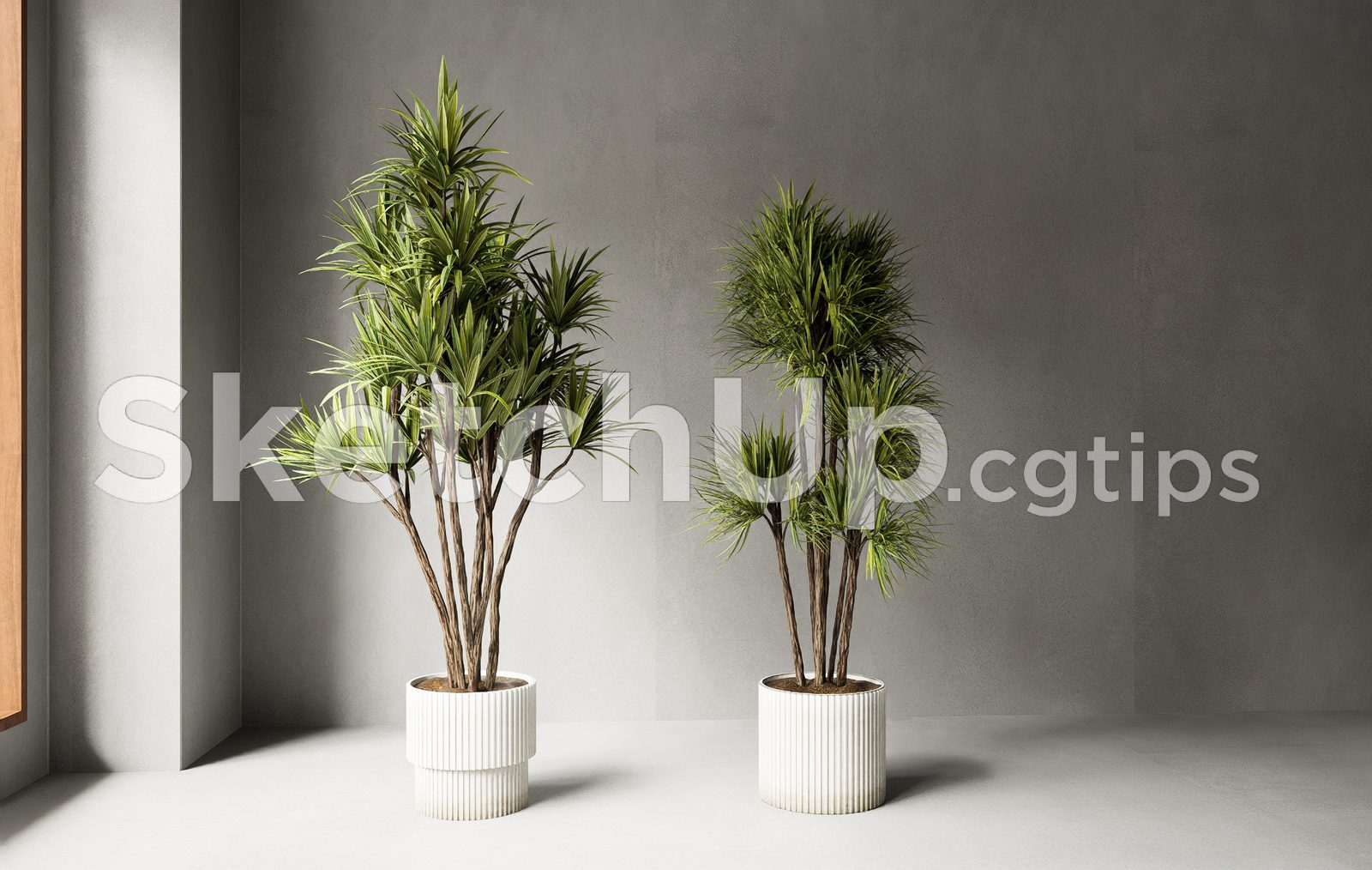 19513. Free Sketchup Plant Model Download (1)