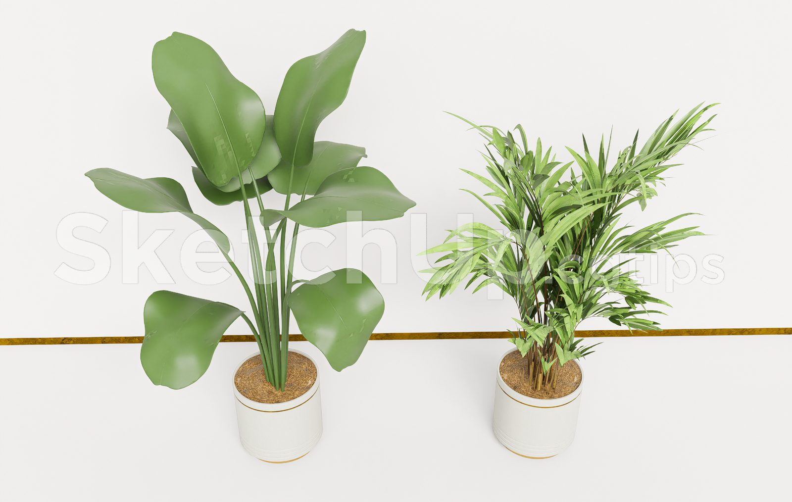 19589. Modern Potted Plants Sketchup Model - Realistic Indoor Plant Collection (2)