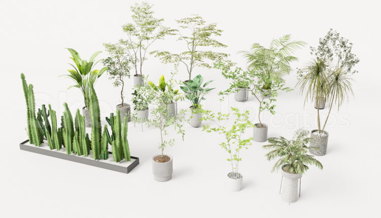 19829. Indoor Plants 3d Model Collection For Sketchup Download (1)