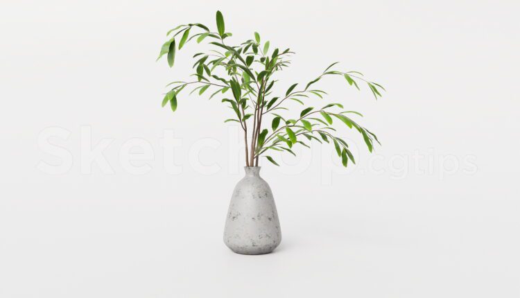 19978. Minimalist Plant In Ceramic Vase Sketchup 3d Model – Decorative Branch Download (2)