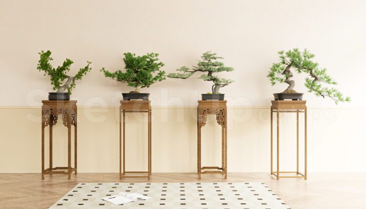 19992. Japanese Style Bonsai Interior Sketchup Model – Modern Zen Decor Download (1)