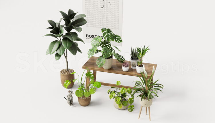 21014. Modern Indoor Plant Collection Sketchup 3d Model Free Download (1)