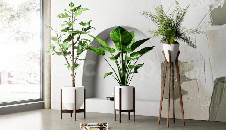 21063. Modern Indoor Plant Collection Sketchup Model Free Download (2)