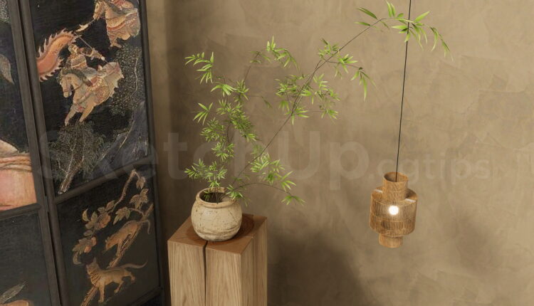 21152. Decorative Indoor Bamboo Plant Sketchup Model Free Download (2)