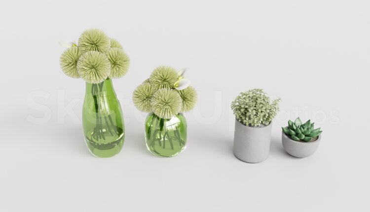 21362. Decorative Potted Succulents And Flowers Vases Sketchup Model Download (2)