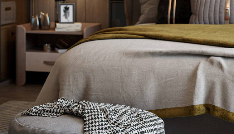 21439. Modern Luxury Bedroom Sketchup Model Free Download Tran Nam (3)