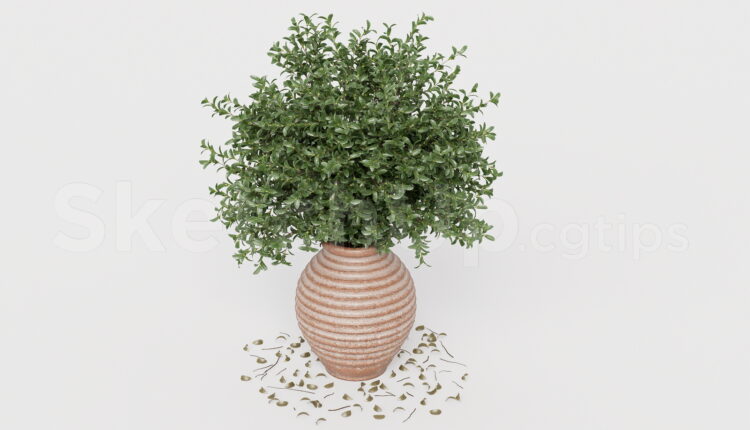 21600. Potted Bush Plant In Terracotta Ceramic Pot Sketchup Model Download (2)